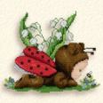 Ladybug