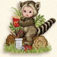 Raccoon
