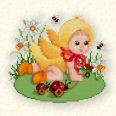 Spring Chicken